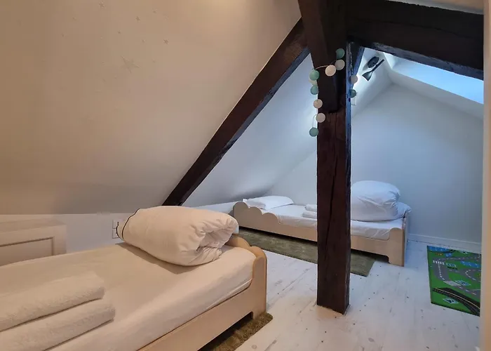 Appartement Le Bois Bleu 3rd Floor Elegance & Comfort In The Heart Of *